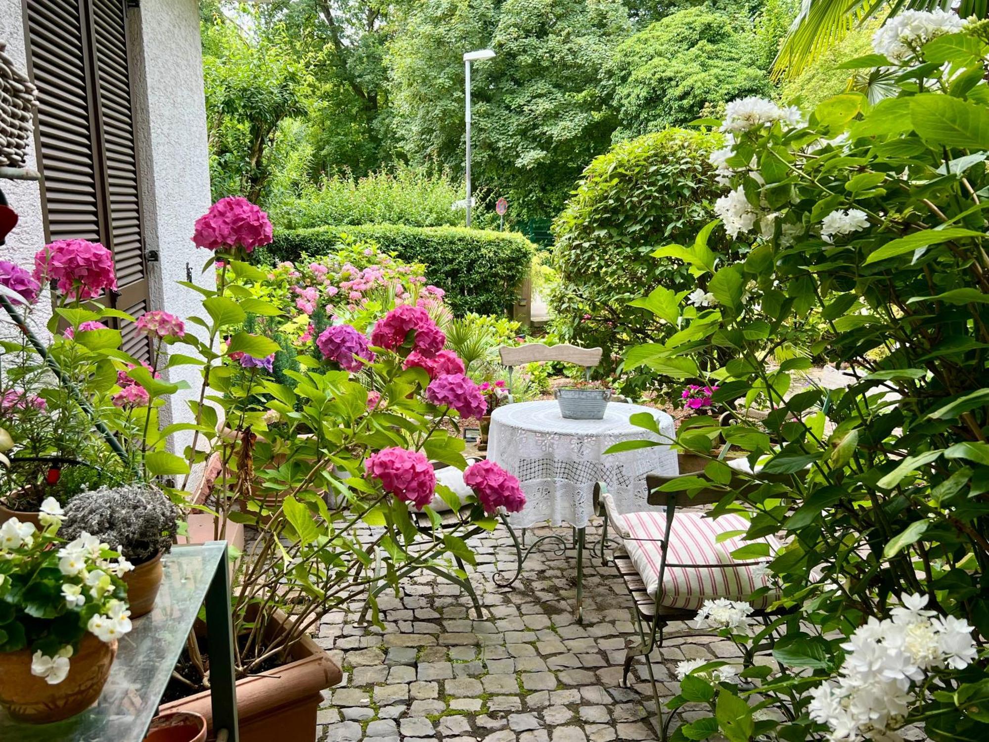 Einliegerwohnung In Einer Muehle Vor Den Toren Frankfurts, Ideal Fuer Messegaeste Oder Stop Over Dreieich Dış mekan fotoğraf